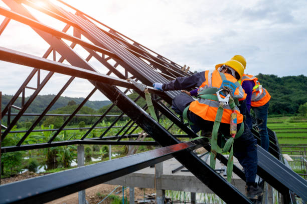 Best Metal Roofing Contractor  in Seward, NE